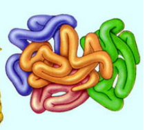 02014rnj-6d78-213x188.png