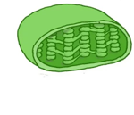 02014s34-9891-150x129.png