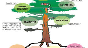 ВСТУП: НАУКИ, МЕТОДИ, РІВНІ