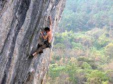 02014t13-8e09-227x170.png