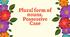 Plural form of nouns. Possessive Case