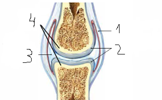 02014xib-d91e-328x202.png