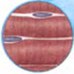 02014yf9-9517-108x108.png