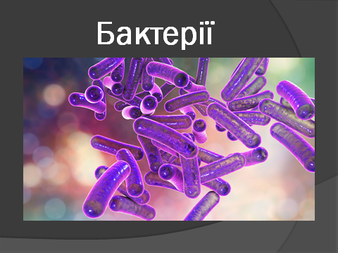 02014yl4-6817-480x360.png
