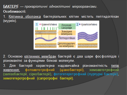 02014yl6-4268-480x360.png