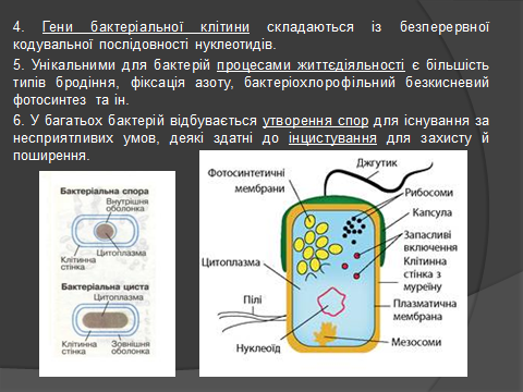 02014yl9-1608-480x360.png