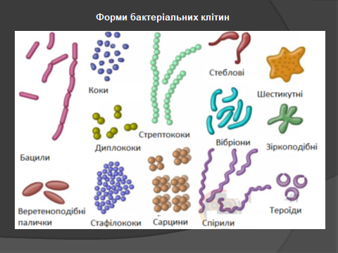 02014ylb-cf2e-480x360.png
