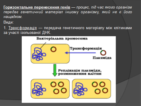 02014yli-2737-480x360.png