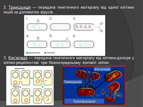 02014ylk-135d-480x360.png