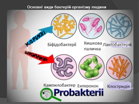 02014yls-9aab-480x360.png