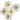 Аватар профіля