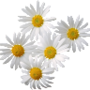 https://fs02.vseosvita.ua/02014zn2-0642-90x90.png