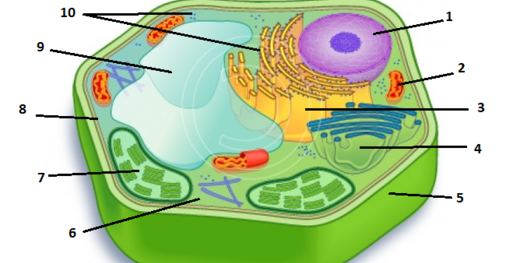 020151wp-fbac-506x263.png