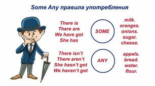Much\ many    Some/any