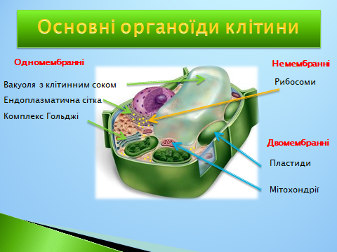 020152ll-89a4-480x360.png