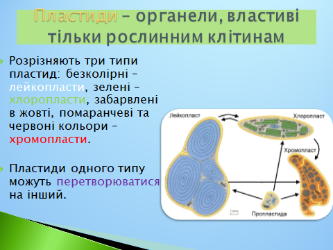 020152lo-5560-480x360.png