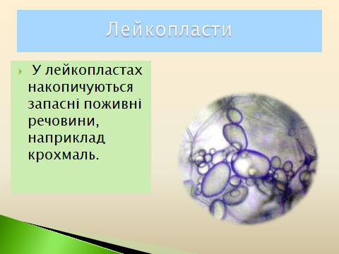 020152ls-2281-480x360.png