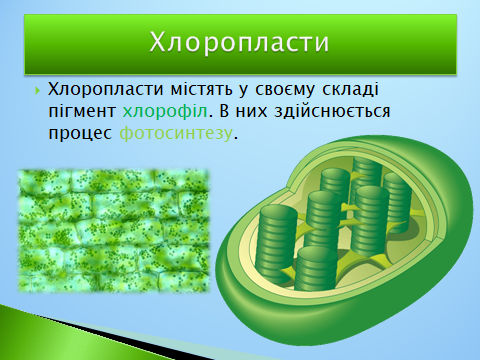 020152lv-ba31-480x360.png