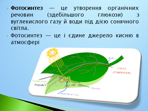 020152lx-a584-480x360.png