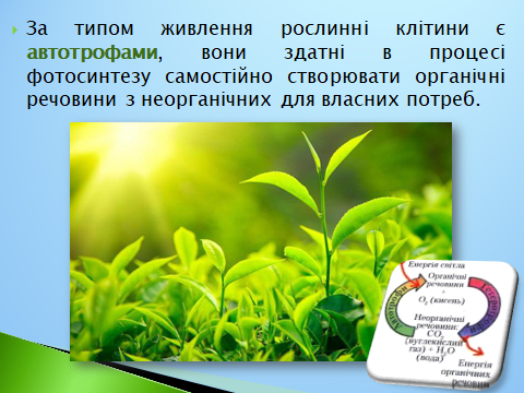 020152lz-3b6f-480x360.png
