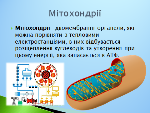 020152m3-5b1e-480x360.png