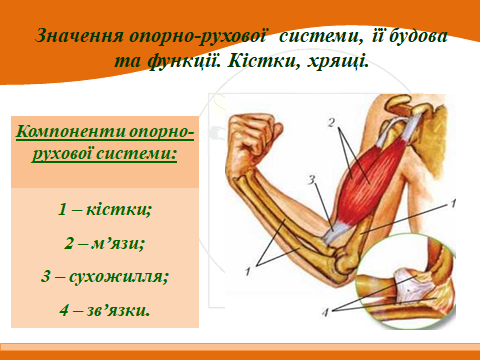 020153ho-e543-480x360.png