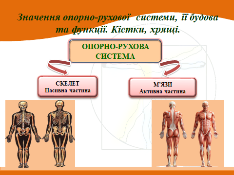 020153hs-54e2-480x360.png