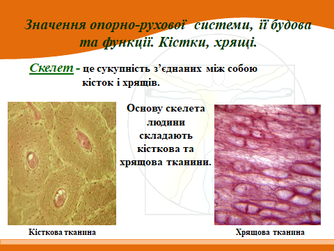 020153hz-8c8b-480x360.png