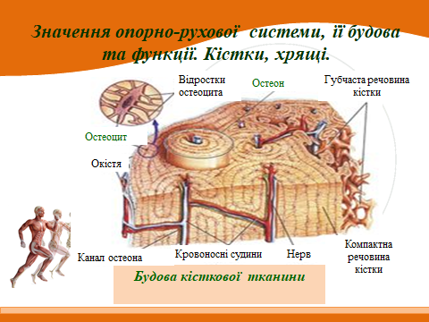 020153i0-ba7e-480x360.png