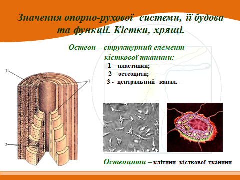 020153i4-8a92-480x360.png