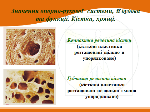 020153i8-2002-480x360.png