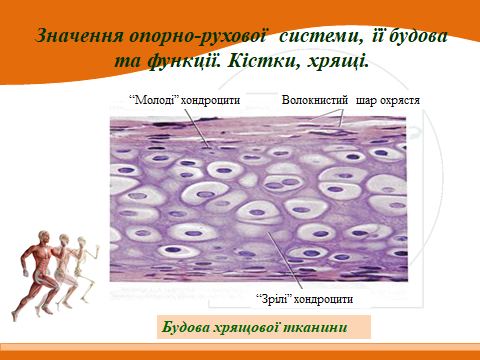 020153ib-2a9a-480x360.png