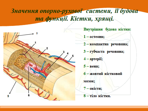 020153if-7ec0-480x360.png