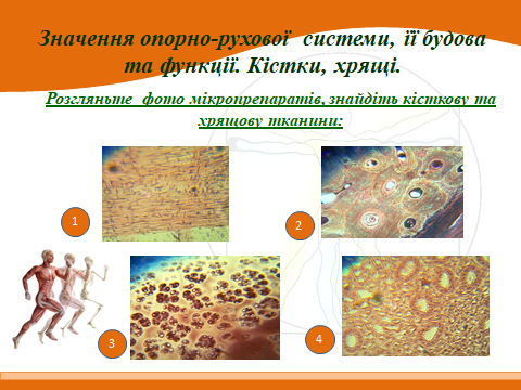020153io-8751-480x360.png
