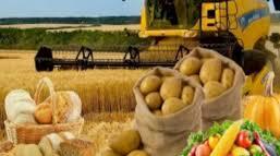 Загальні принципи зберігання продукції рослинництва і післязбиральна обробка зернових мас.
