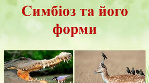 Симбіоз та його форми