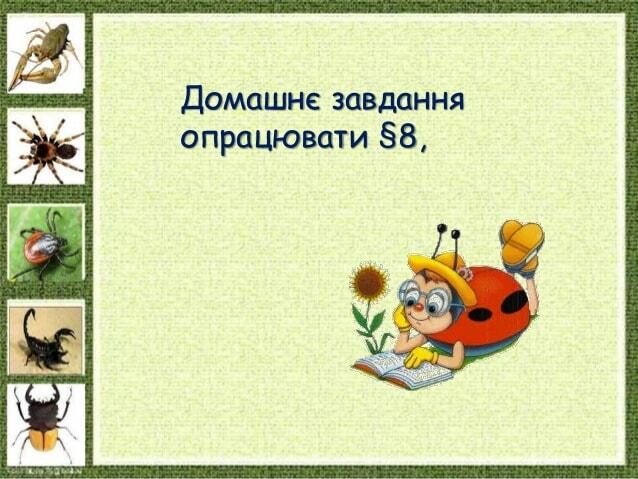 Домашнє завдання опрацювати §8,