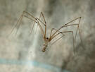 MacroID.RU - ...
