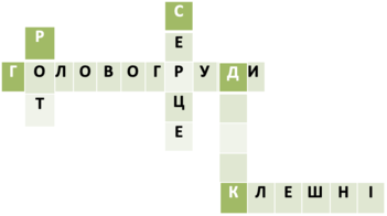 020158kf-2e42-796x444.png