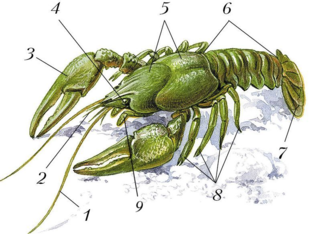 02015hzi-7492-311x234.png