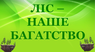 Презентація "Ліс - наше багатство"