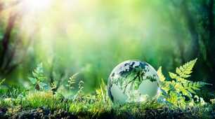 14 February 2021