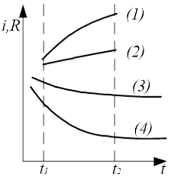 02015kaf-9972-373x391.png