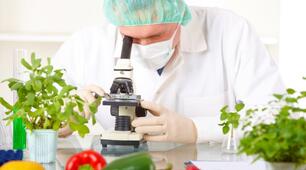 Якість продуктів харчування