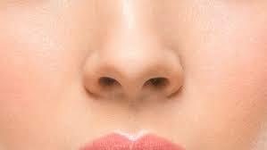 nose-close-today-tease-160211_631286ac703e21e87c2fc7200c6b5511 | Arden Clinic
