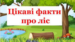 Презентація "Цікаві факти про ліс"