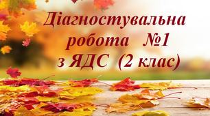 Діагностувальна робота №1