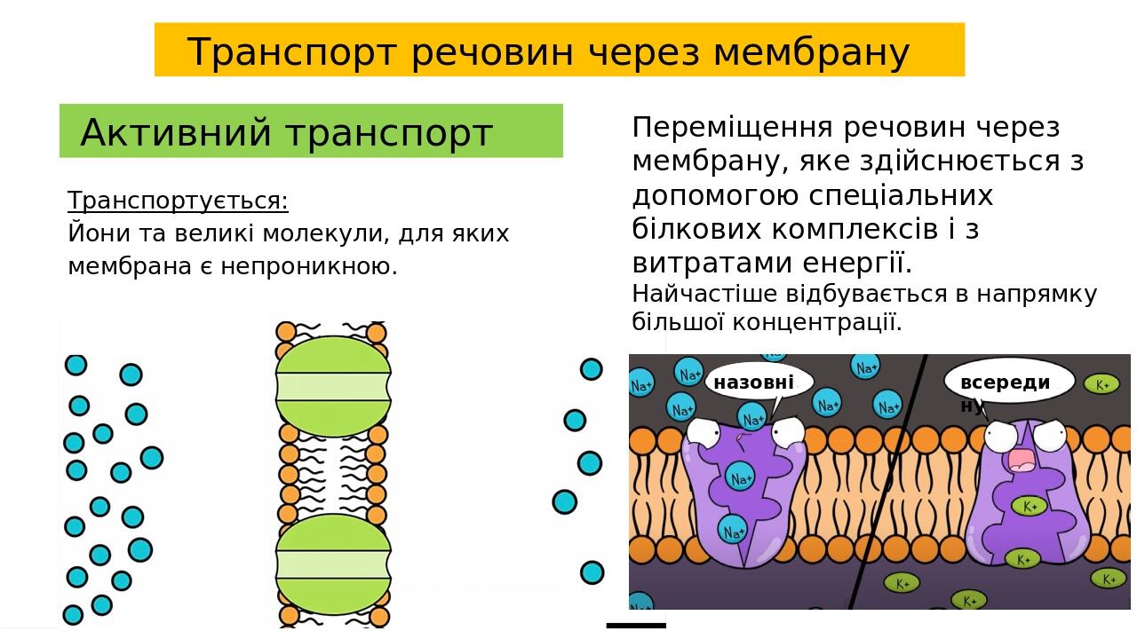 Транспорт речовин через мембрану Активний транспорт Транспортується: Йони та великі молекули, для яких мембрана є непроникною. Переміщення речовин ...