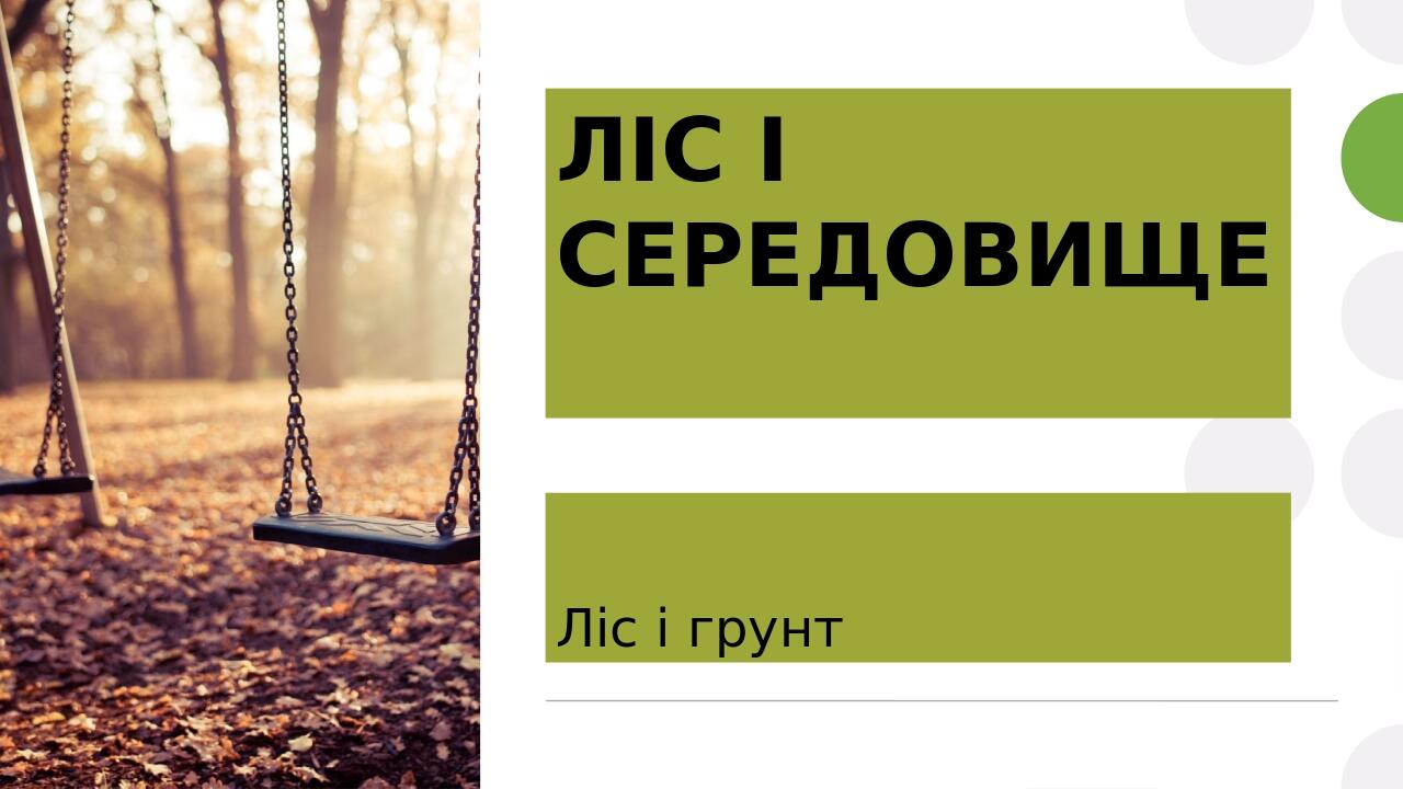 ЛІС І СЕРЕДОВИЩЕ Ліс і грунт