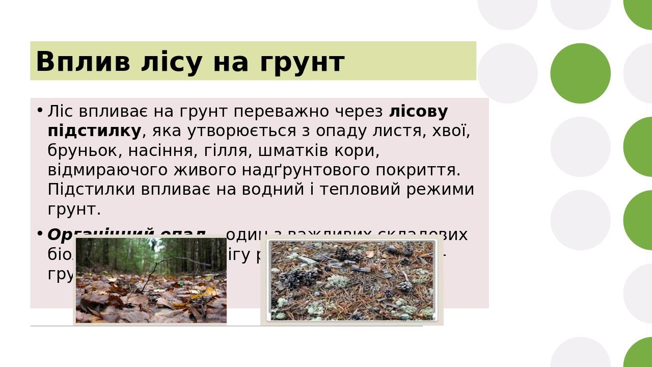 Вплив лісу на грунт Ліс впливає на грунт переважно через лісову підстилку, яка утворюється з опаду листя, хвої, бруньок, насіння, гілля, шматків ко...